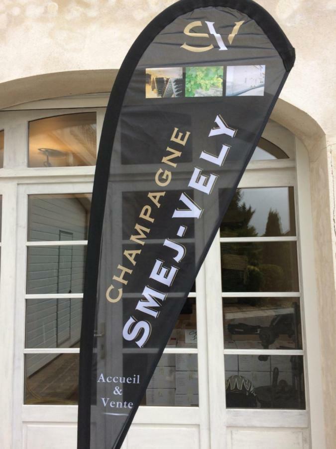 Chambres D'Hotes Karine Smej Chatillon-sur-Marne Екстер'єр фото