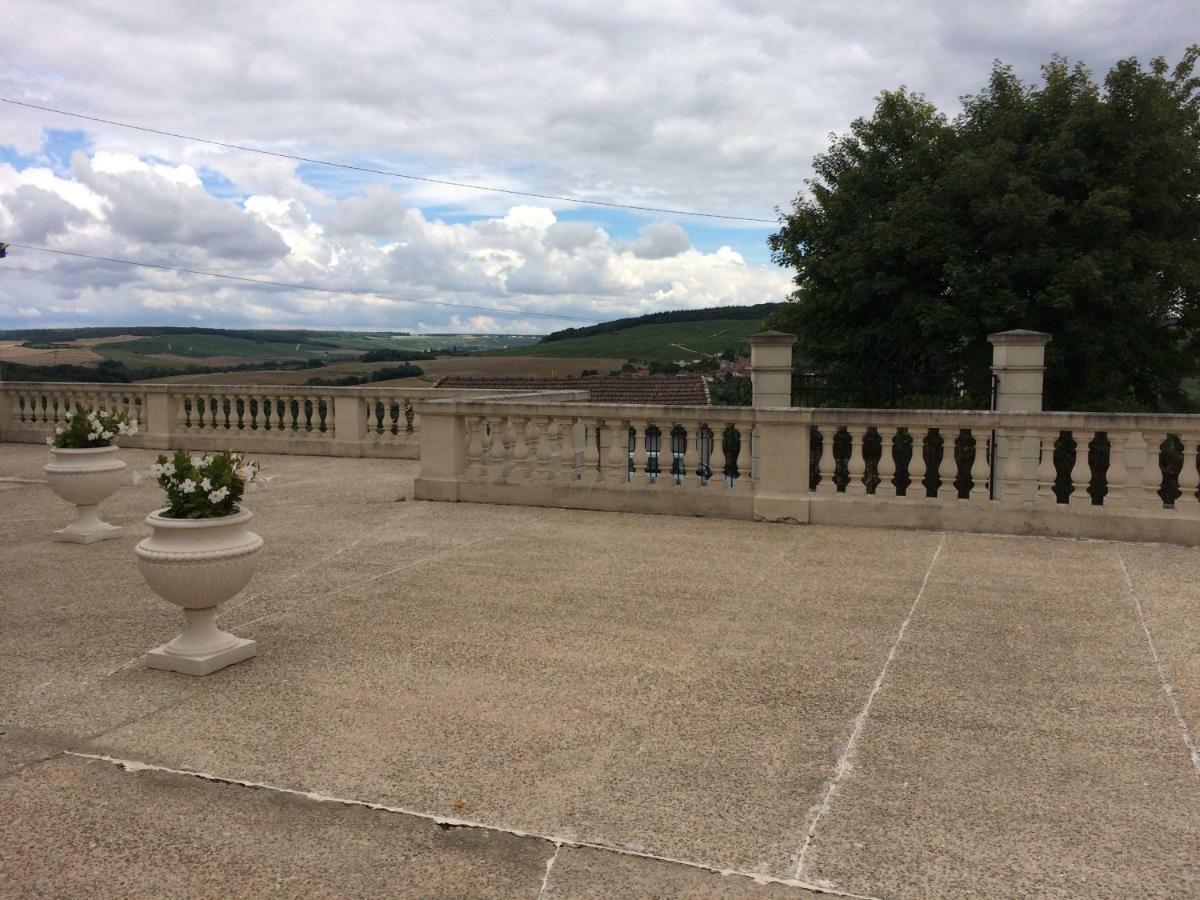 Chambres D'Hotes Karine Smej Chatillon-sur-Marne Екстер'єр фото