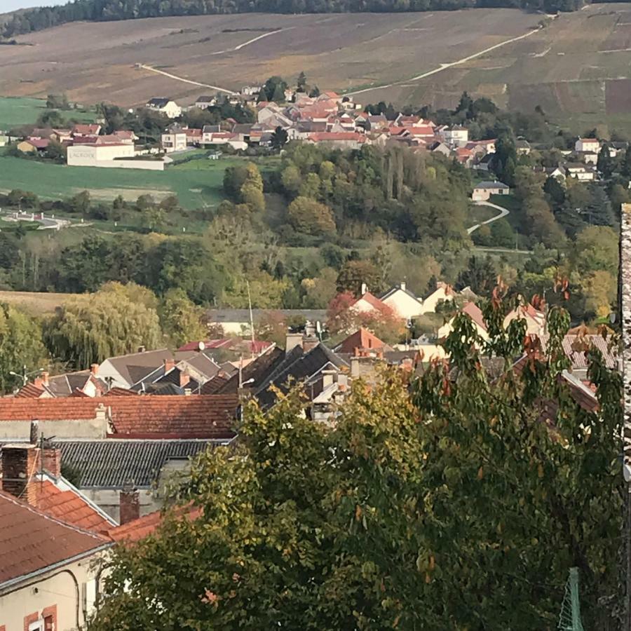 Chambres D'Hotes Karine Smej Chatillon-sur-Marne Екстер'єр фото
